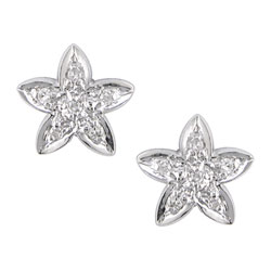 14k White Gold Diamond Star Earrings
