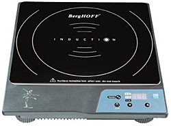 Portable Induction Stove