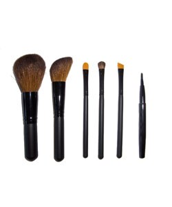 Travel Makeup Brush Set