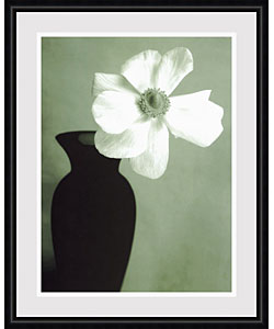 Steven N. Meyers Single Anemone Framed Art Print