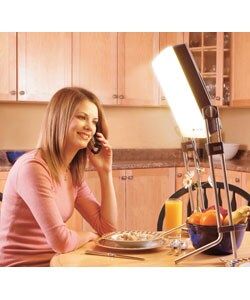 Day Light Lamp DL930