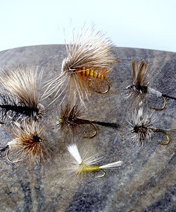 The Absolute Dry 72-piece Fly Selection