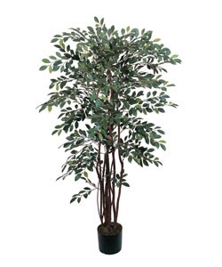Silk Ruscus Tree (4 ft.)