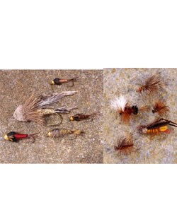 Dry and Nymph Flies Fly Fishing Set