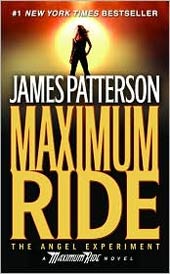 The Angel Experiment (Paperback)