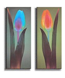 Mertens Tulip Chromatic Stretched Canvas Set