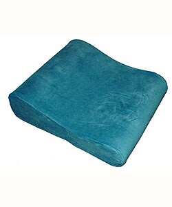 Visco Travel Lumbar Pillow (Case of 2)