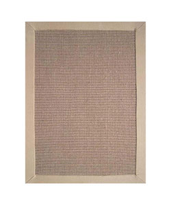 Hand-woven Sisal Beige Border Rug (8' x 10')