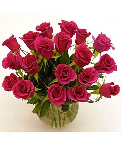 Hot Pink Sweetheart Roses (Case of 20)