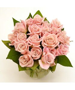 Soft Pink Sweetheart Roses (20 Stems)