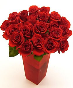 Premium Red Long Stem Roses (Case of 20)
