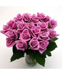 20 Mauve Long Stem Roses