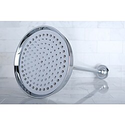 Chrome Showerhead and Arm