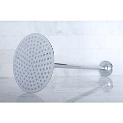 Chrome Showerhead and Arm