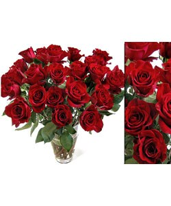 100 Fresh Red Wholesale Roses (20 in stem length)