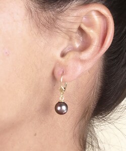 DaVonna 14k Yellow Gold Akoya Pearl Earrings