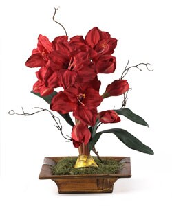 Amayrllis with Bamboo Tray