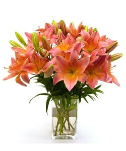 Bouquet of Pink Lilies