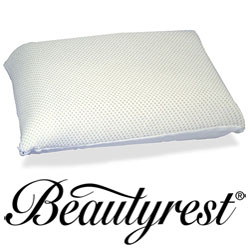 Beautyrest Memory Foam Pillow with Outlast Velour