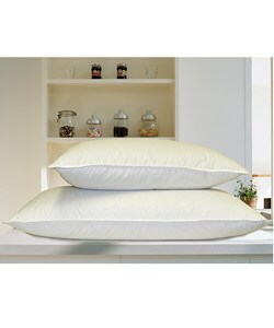 Arctica Down Pillows (Set of 2)