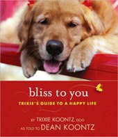 Bliss to You (Hardcover)