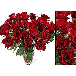 Bouquet of 24 Red Roses