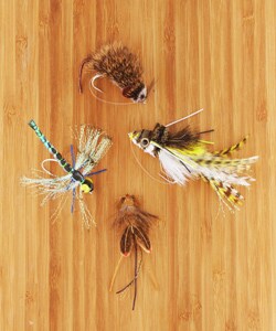 Maximum Bass Selection Fly Fishing Flies