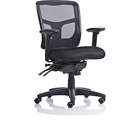 Ergo Mesh Back Task Chair
