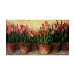 Carol Rowan Pattys Tulips Framed Canvas