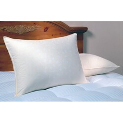 300 Thread Count Printed Cotton Jumbo Down Pillows (Set of 2)