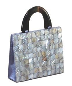 Mother of Pearl Evening Bag