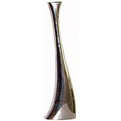 Shiny Metal Tapered Curve Vases (Set of 2)