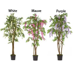 Wisteria 5-foot Silk Tree
