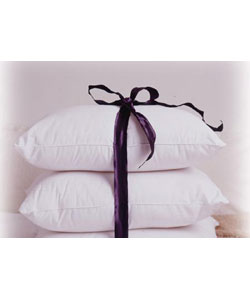 Essential Cotton Pillow (Case of 10)