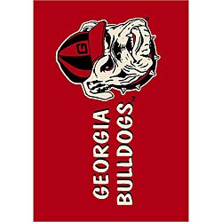 University of Georgia Bulldog Area Rug (2'8 x 3'10)