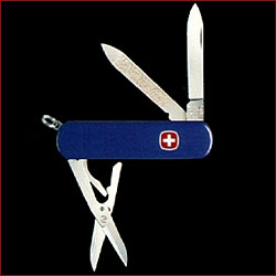 Swiss Army Esquire 7-tool Purple Knife