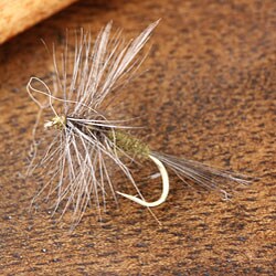 Blue Wing Olive Fishing Fly (Set of 12)