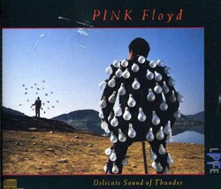 Pink Floyd - Delicate Sound of Thunder [Box]