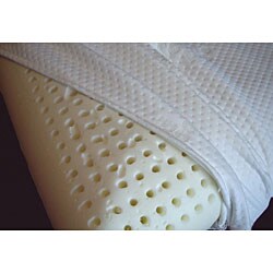 Italian Memory Foam Plush Pillow with Cool Plus Cover