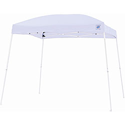 EZ Up Dome II Canopy Tent 10x10