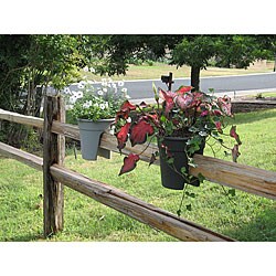'On the Edge' Planter (Set Of 2)