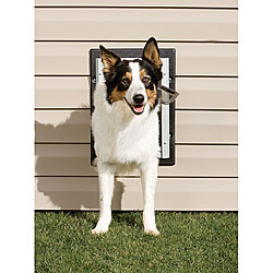 PetSafe Medium Aluminum Wall Entry Pet Door