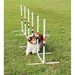 Weave Poles Dog Exercise Set