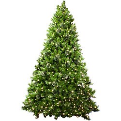 Ravenwood Quick Shape Pre-lit Christmas Tree