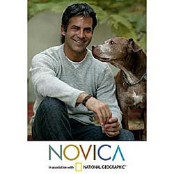 Alpaca Wool 'Graceful Memories' Men's Sweater (Peru)