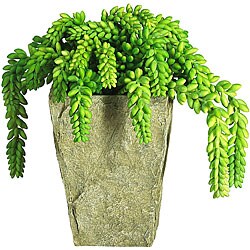 Sedum Silk Plant with Vase