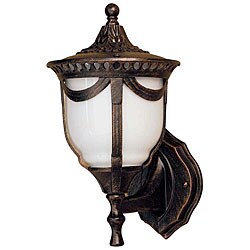Antique Bronze 1-light Outdoor Wall Fixture