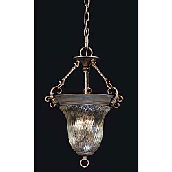 Cafe Tortoise Shell Pendant Light