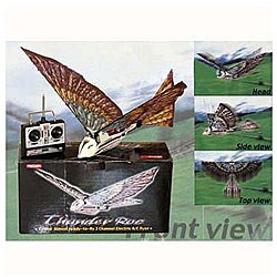 Radio-controlled Flying Spybird