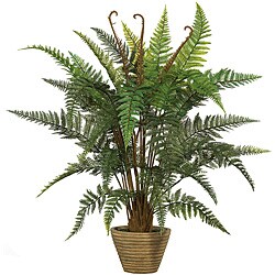 'Leather Fern' Faux Silk Plant